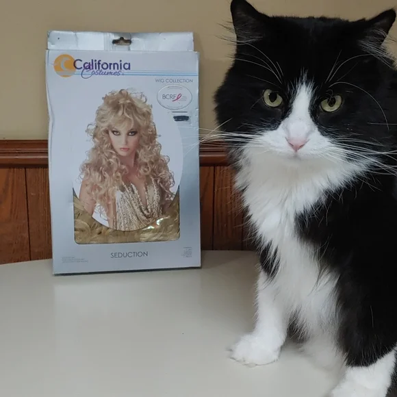 California Costumes Seduction Wig - Picture 4 of 12